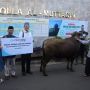 J Trust Bank Serahkan Hewan Kurban di Perayaan Idul Adha 1444 Hijriah