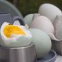 5 Manfaat Telur Bebek untuk Kesehatan Bayi, Bisa Jadi MPASI