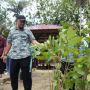 Gubernur Sulsel Andi Sudirman Tanam Pohon Durian, Rambutan, dan Alpukat di Bone