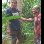 Jejak Kasus Nenek 83 Tahun Dituduh Mencuri Kelapa: Sempat Dipolisikan, Kini Damai