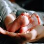 Apa Itu Echovirus-11? Virus yang Serang Puluhan Bayi di Eropa