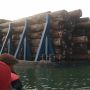 Pengawas Sawmill Ilegal di Kampar Jadi Tersangka, Terancam Denda Rp2,5 Miliar