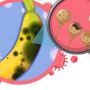 5 Macam Penyakit Menular Akibat Makanan, Salah Satunya Infeksi E.Coli
