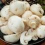 7 Manfaat Jamur Kancing bagi Kesehatan, Salah Satunya Baik untuk Pencernaan