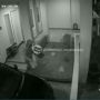 VIRAL! Aksi 2 Pencuri Sepatu Terekam CCTV di Malang, Warganet Ikut Geram: Kerja Lah Mas