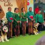 Minta Maaf Gegara Gelar Pernikahan Anjing Pakai Adat Jawa, Pemilik Jojo dan Luna Dibela Netizen