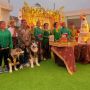 Organisasi Budaya DIY Kecam Pernikahan Anjing, Siap Bawa ke Ranah Hukum