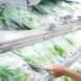 5 Tips Belanja Frozen Food: Tetap Beku Hingga Tiba di Rumah!