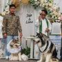Fakta Pernikahan Anjing Jojo dan Luna: Keluarkan Biaya Rp200 Juta hingga Gelar Giveaway