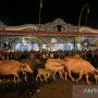 Termasuk Mengobrol dan Bercanda, Ini Sederet Larangan Bagi Peserta Kirab Pusaka Malam 1 Suro Keraton Solo