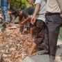 Viral Truk Bermuatan Telur Terguling di Surabaya, Warga Berebut Mengambil