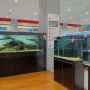 Luncurkan Konsep Baru, ACE Hardware Hadirkan Inspirative Corner hingga Personal  Shopper