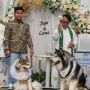Minta Maaf ke Umat Katolik, Nena Jelaskan Pemberkatan Pernikahan Anjing Jojo dan Luna