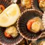 Jangan Masak Terlalu Lama! Simak 5 Tips Mengolah Scallop