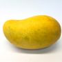 Populer di India dan Bangladesh, Berikut 3 Fakta Unik Buah Mangga