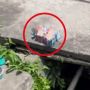 Viral Penemuan Segepok Uang Diduga Dibuang Perampok ke Parit di Bengkalis