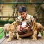 Sebut Dirinya Pecinta Binatang, Ini Kontroversi Kematian Bayi Harimau Alshad Ahmad