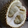 Nikmatnya Durian Selat Jambi, Rasanya Menggugah Selera!