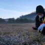 BREAKING NEWS! Kawasan Dataran Tinggi Dieng Diselimuti Embun Es Pagi Ini, Minus 3,5 Derajat Celcius