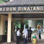 Serba Serbi Kebun Binatang Bandung: Lokasi, Harga Tiket, Fasilitas hingga Wahananya