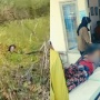 Detik-detik Warga Selamatkan Wanita Pekerja Kebun Sawit di Ketapang yang Diterkam Buaya
