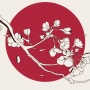5 Pelajaran Keren Wabi-Sabi: Filosofi Jepang yang Bikin Hidup Penuh Makna!