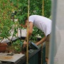 5 Panduan Praktis Berkebun di Balkon dan Halaman
