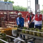 Pantau 255 Titik, Pertamina Pastikan Pasokan LPG Subsidi Aman