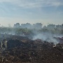 BREAKING NEWS: 1.481 Hektare Lahan Terbakar, Kualitas Udara di Kubu Raya Masuk Zona Kuning