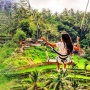 Berjarak 30 Kilometer dari Denpasar, Picu Adrenalin di Bali Swing Ubud