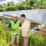 Sukses Tingkatkan Produktivitas Pertanian, PLTS Irigasi Bukit Asam Jadi Andalan Petani Desa Nanjungan