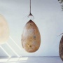 Mayat Manusia Menjadi Tumbuhan, Ini Fakta Peti Mati Capsula Mundi (Italia)
