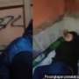 Viral! Polisi Tangkap Tukang Palak Nasgor saat Masih Tidur sambil Nyanyikan Lagu Selamat Ulang Tahun