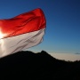 6 Aksi Penghinaan Bendera Merah Putih Paling Viral: Lilitkan ke Anjing hingga Digambari Palu Arit