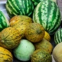 Populer Diperingati di Turkmenistan, Berikut 3 Fakta Unik Buah Melon