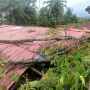 5 Rumah Warga Padang Ditimpa Pohon Tumbang