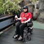 Rayakan HUT RI, Aurel Hermansyah Pakai Kursi Roda di Dufan: Ada Apa?