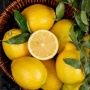 5 Manfaat Konsumsi Lemon untuk Kebutuhan Diet yang Sehat, Wajib Dicoba!