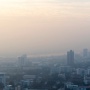 Mengapa Paru-Paru Dunia Merusak Paru-Paru?