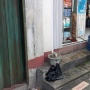 Geger Benda Diduga Bom Rakitan di Pasar Wisma Asri Bekasi, Warga: Ada Paralon dan Kabel-kabel