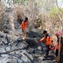 Kebakaran Lahan di Sendang Wonogiri, Nenek Parni Ikut Dilahap Si Jago Merah