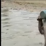 Viral Warga di Asahan Gelar Aksi Mandi Lumpur, Protes Jalan Rusak Bak Kubangan Sapi