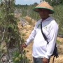 Hujan Tak Kunjung Turun, Petani Buah di Balikpapan Terancam Gagal Panen