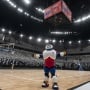 Deretan Fakta Menarik Piala Dunia Basket 2023, Indonesia Tak Main meski Jadi Tuan Rumah