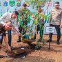 Atasi Polusi Udara, Pemprov DKI Jakarta Gencarkan Penanaman Pohon