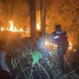 Kebun Jati Seluas 5 Hektare Terbakar di Pagelaran, ODGJ Diduga Jadi Penyebabnya