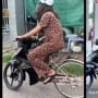 Bikini Bingung, Sepeda Ini Dimodifikasi Pakai Bodi Motor, Jadinya Sepeda Motor