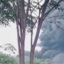 Breaking News! Kebakaran Hebat Terjadi di Dua Lokasi, Asap Tebal Selimuti Langit Cikarang