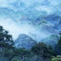 3 Keindahan Budaya dan Pariwisata di Kayong Utara Kalimantan Barat