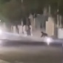 Viral Warga di Jombang Lempar Kursi ke Pebalap Liar hingga Terjatuh, Aksinya Panen Dukungan